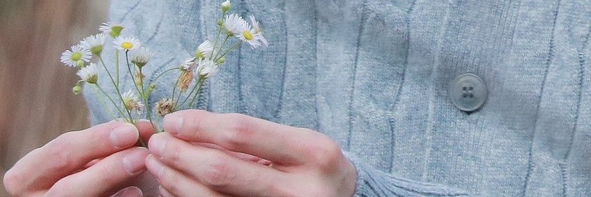 alicia banner