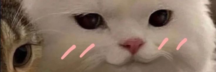 Akang Cilok Cabang Lampung banner