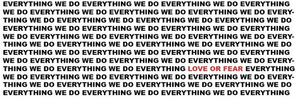 ZOEMFOSSE Profile Banner