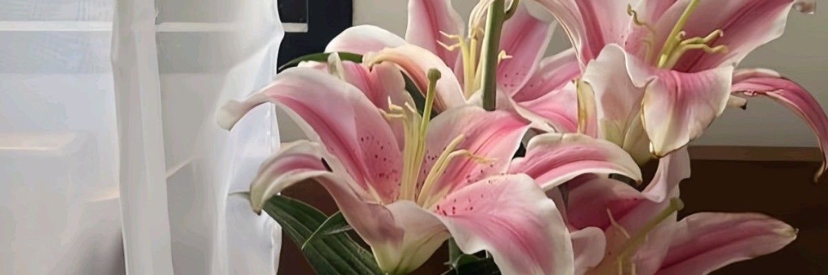 44html's profile banner image