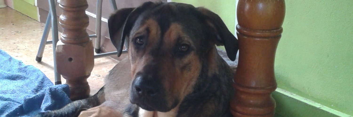 Nathalie DETEZ DE LA DREVE banner