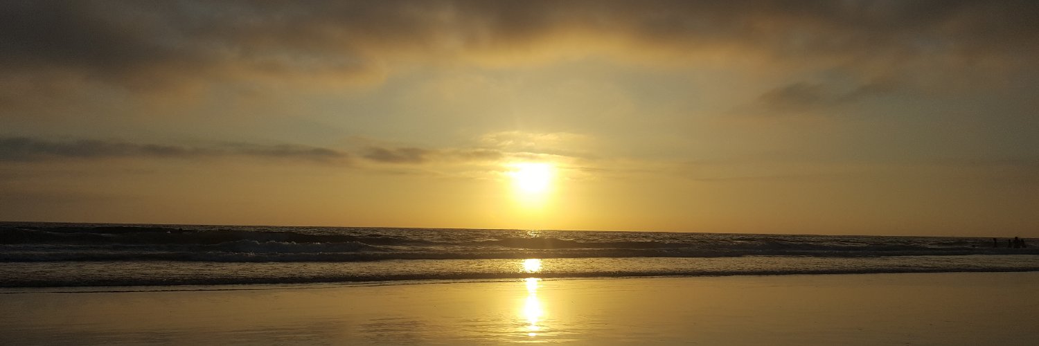 Beachwear's profile banner image