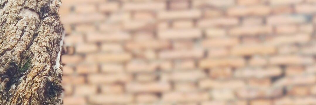 None_Hans's profile banner image