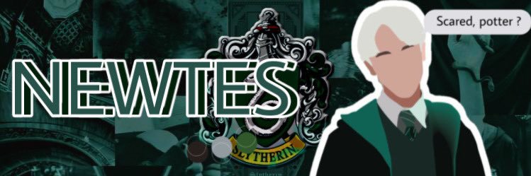 NT banner