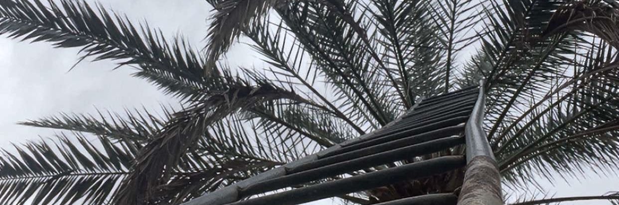 ril111_'s profile banner image