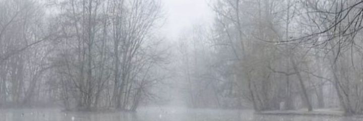 n banner
