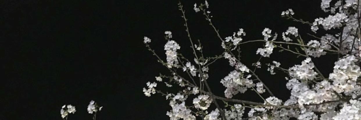 NZRF7's profile banner image