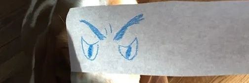 teuz45's profile banner image