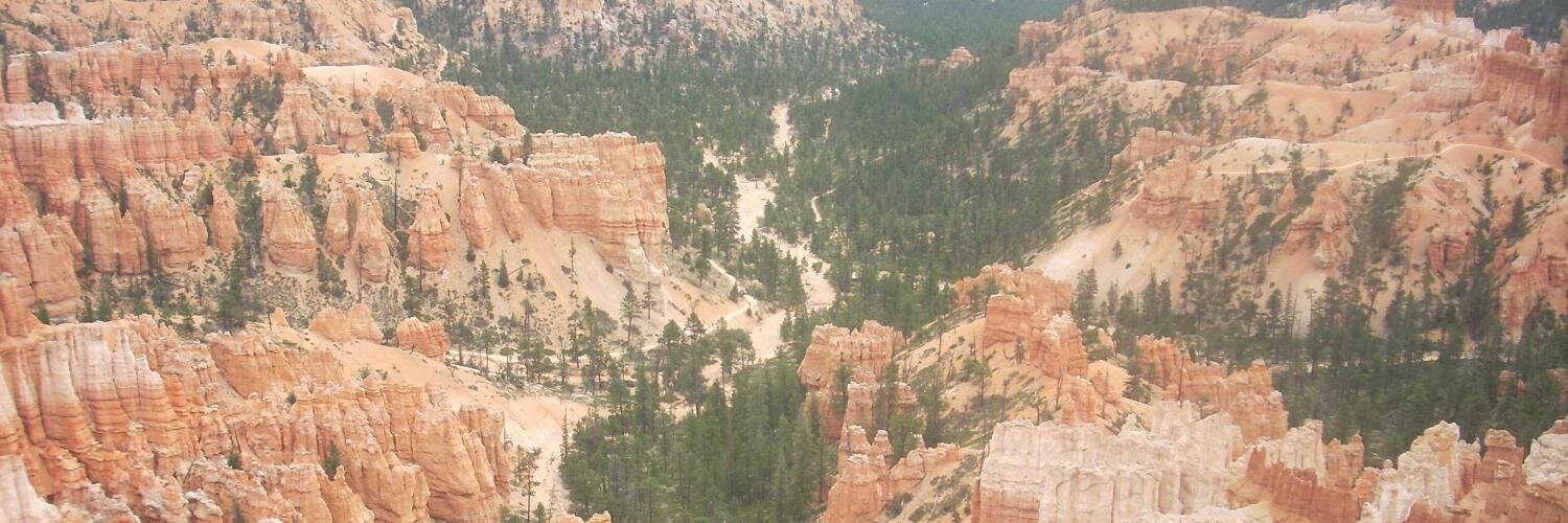 SalvatoreP72's profile banner image