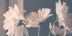 ooomsss111's profile banner image