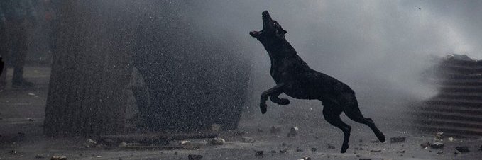 El Daniel... banner