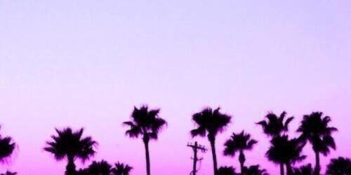 nawal145's profile banner image