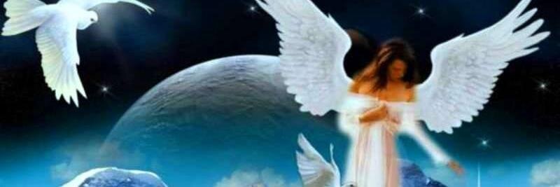 Akirasingh1's profile banner image
