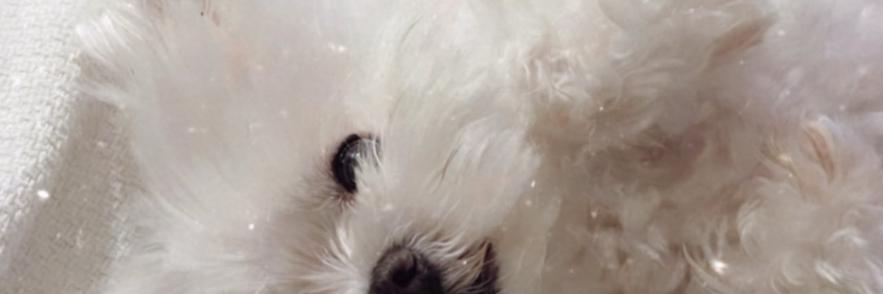 SabrinaS_O's profile banner image