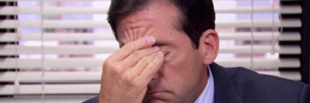 my fake name is sasha's banner
