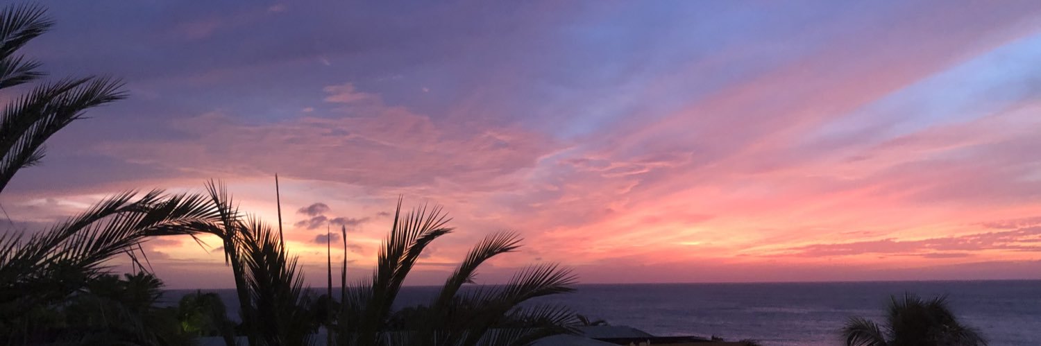 A van der Hoek banner