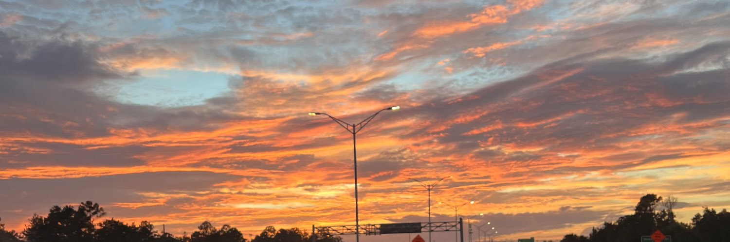 Doryanna3's profile banner image