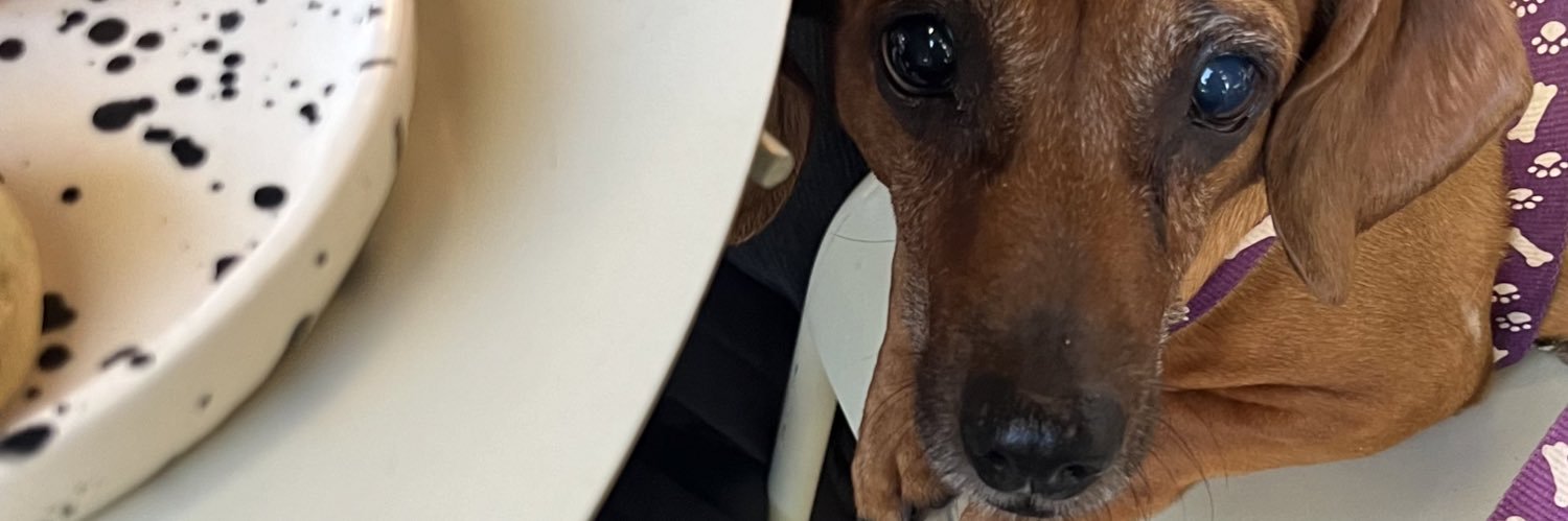 wellneverletugo's profile banner image