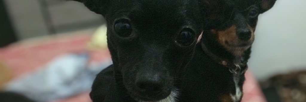 guiarantes92's profile banner image