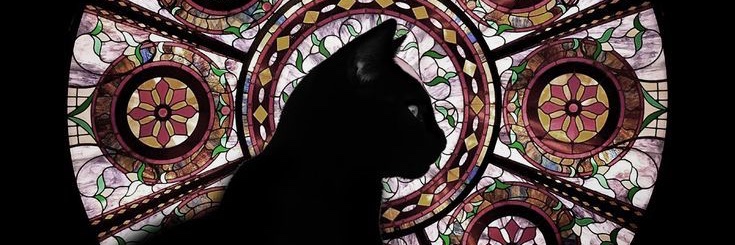 _juliaol's profile banner image