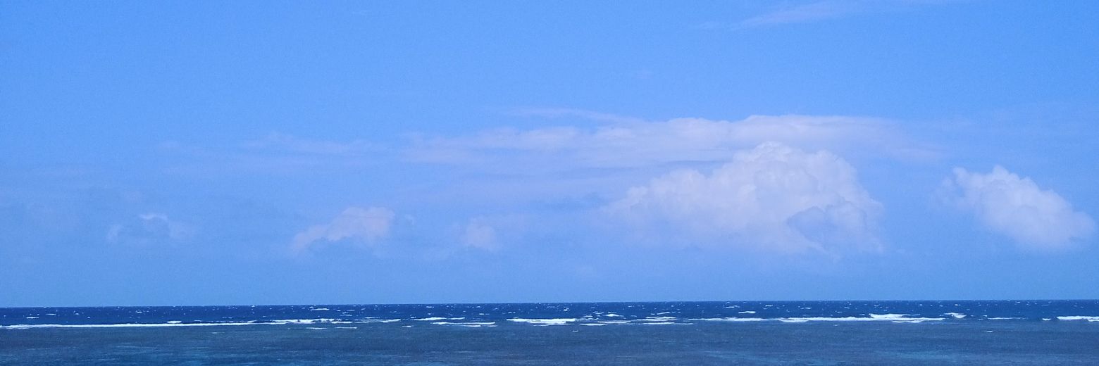 Francisco ✘ banner