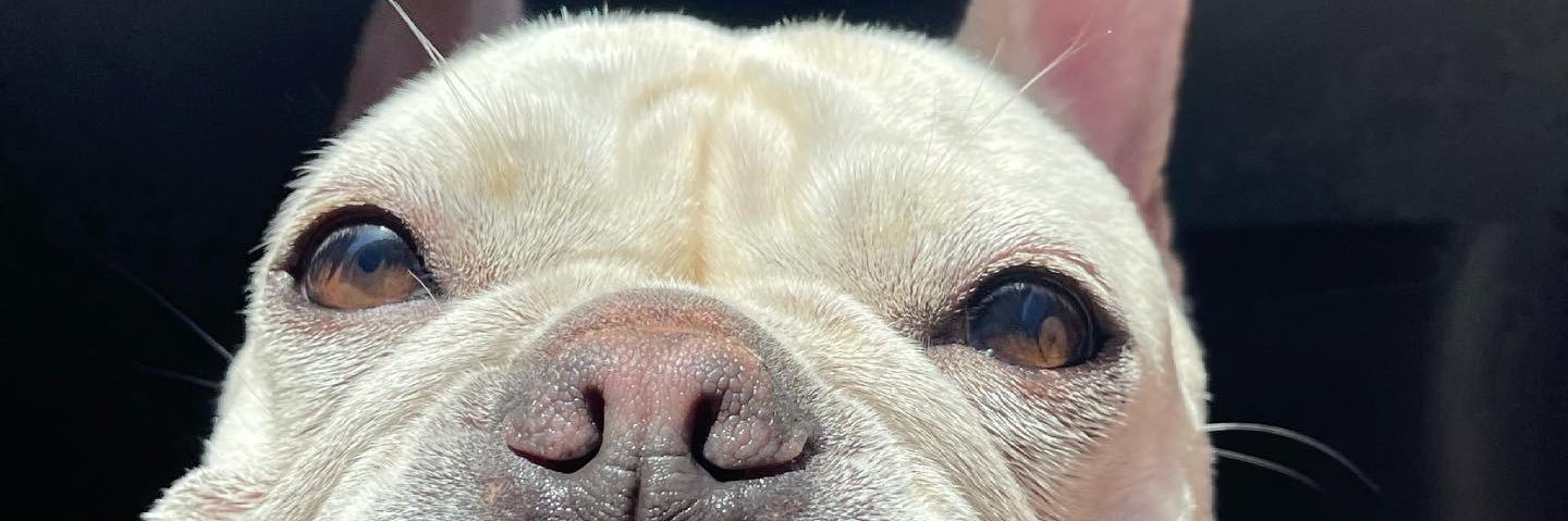 johnnhimself's profile banner image