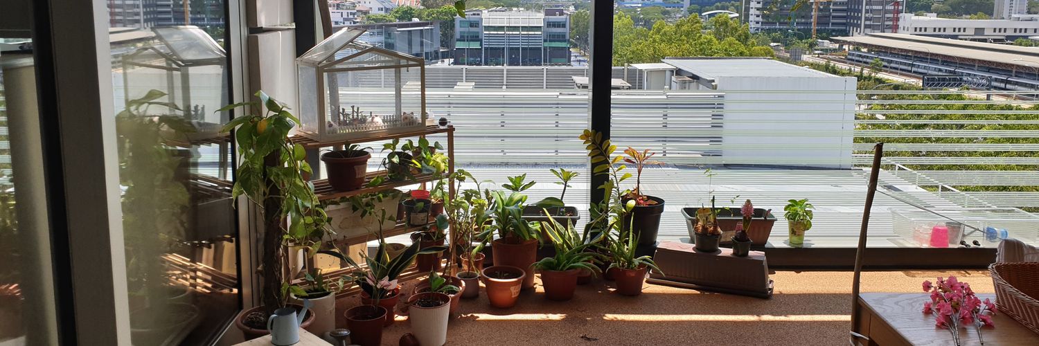 Afiifah Nasuha Md Roslan banner