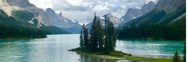AnnaRzepka8 Profile Banner