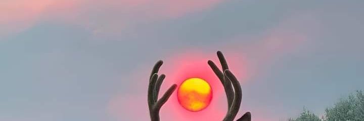 Giddikibe's profile banner image