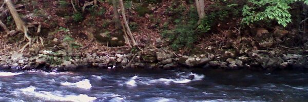 SmithC3306 Profile Banner