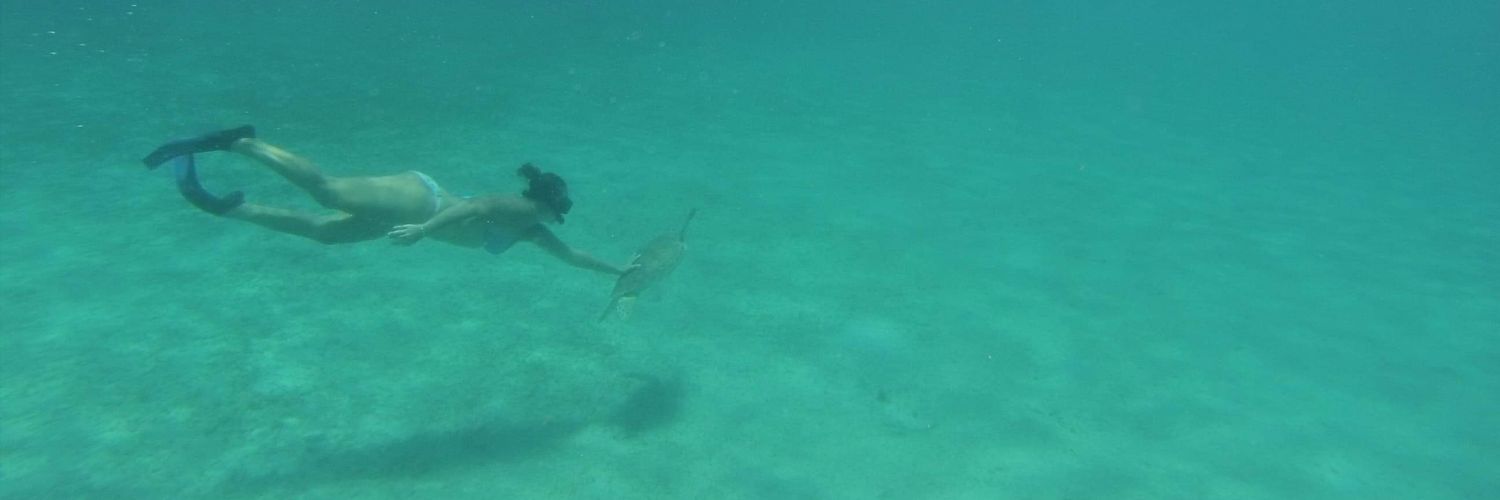 rae_wray's profile banner image
