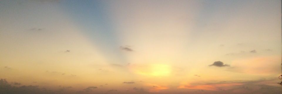 AnaesthesiaMV's profile banner image