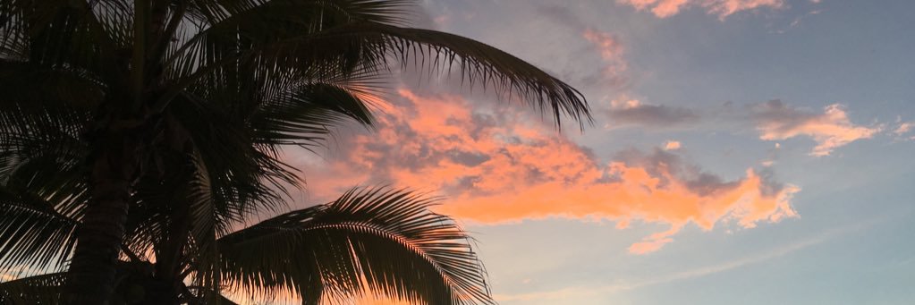 Addie_Espeseth's profile banner image