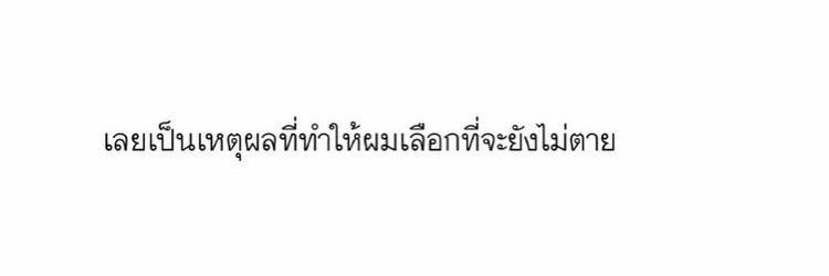 / banner