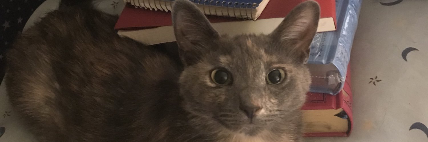 AuthorNikSky's profile banner image