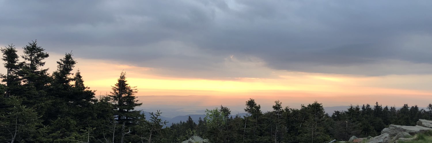 Pablo 🕊️ banner