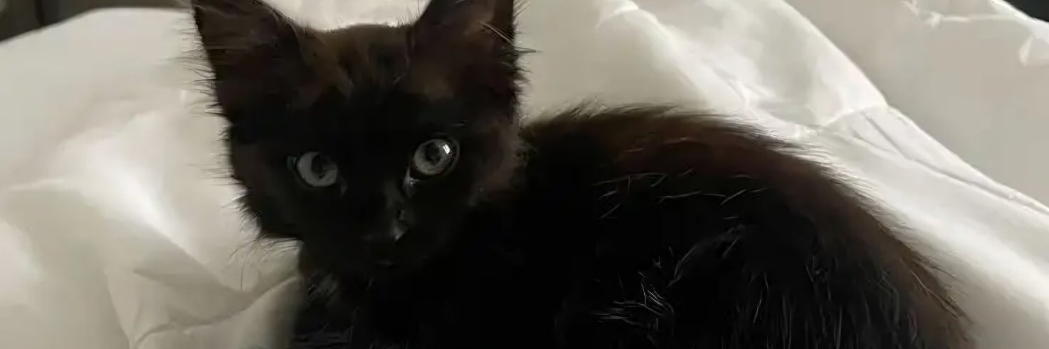 vxodkas's profile banner image