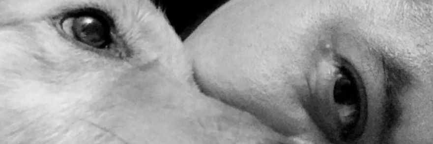 VictorH00698564's profile banner image
