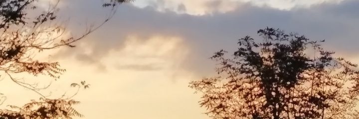 lydlzp's profile banner image