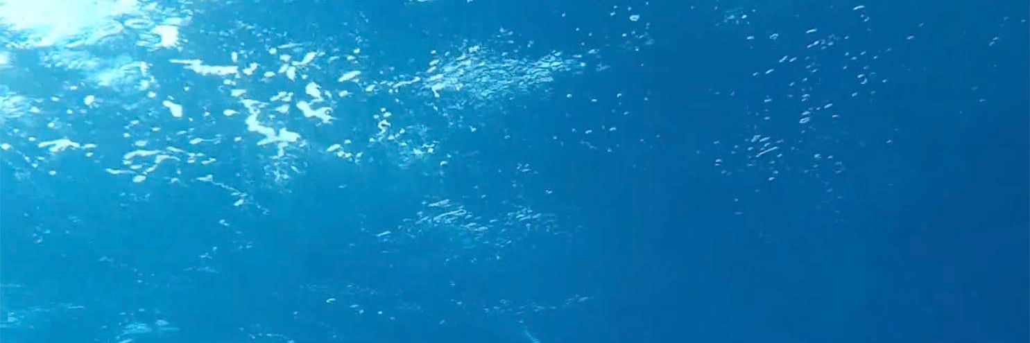 Aulamar - Patí Científic banner