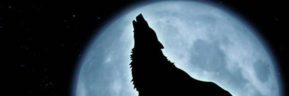 alednqn's profile banner image