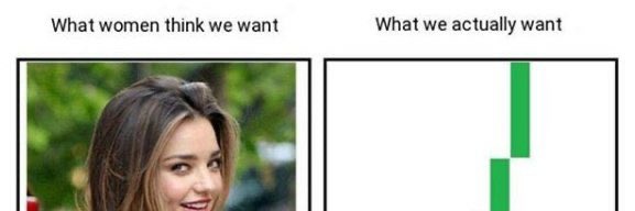 Scott banner