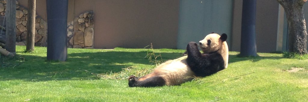 ☆あぜち☆ banner