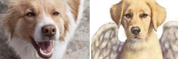 BipolarTimeLord Profile Banner