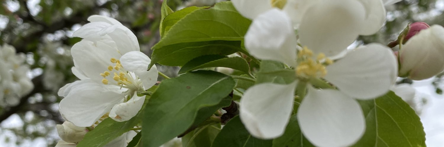 myleeritchell's profile banner image
