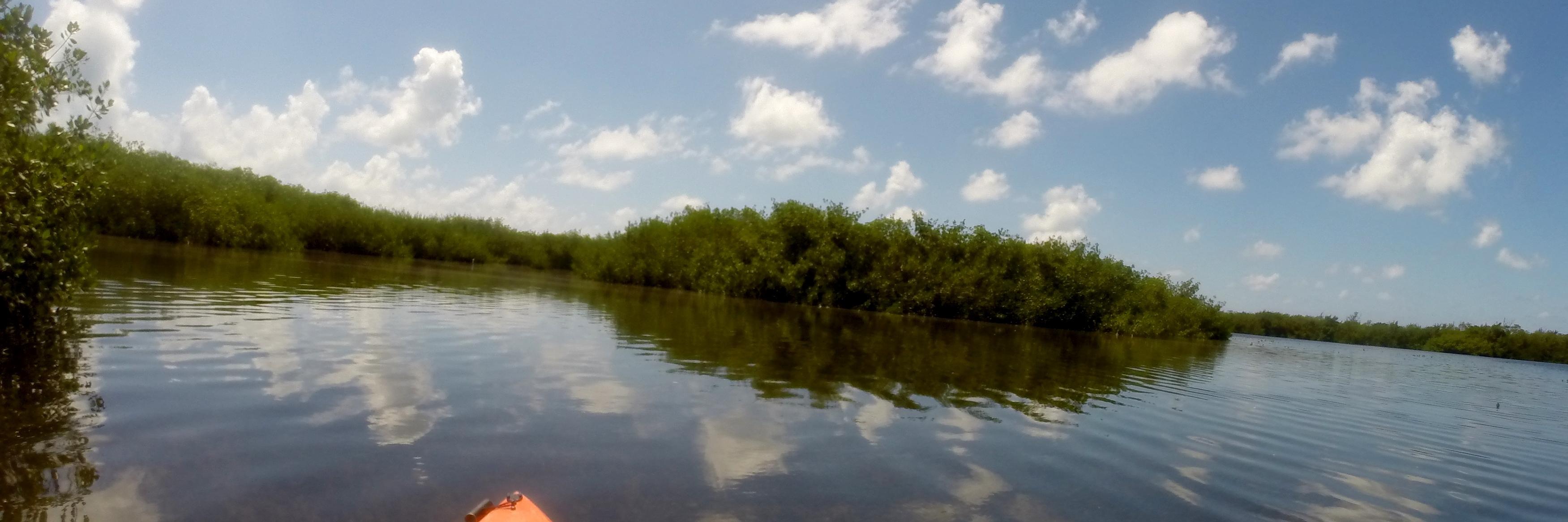 Susan O. Moore banner