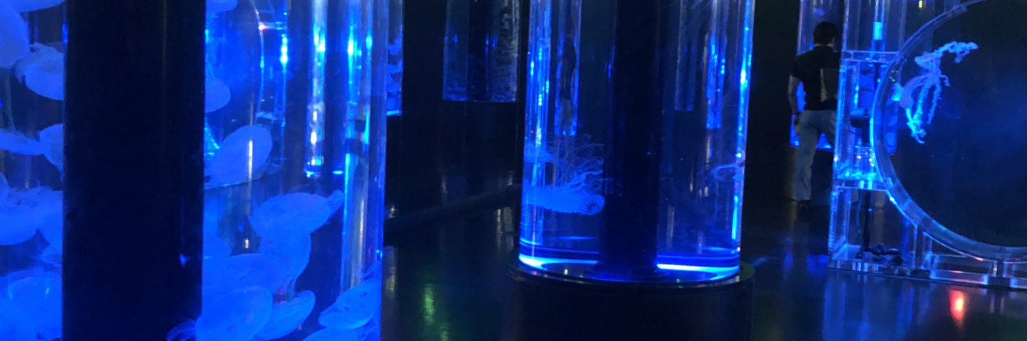 jellyfishShang's profile banner image