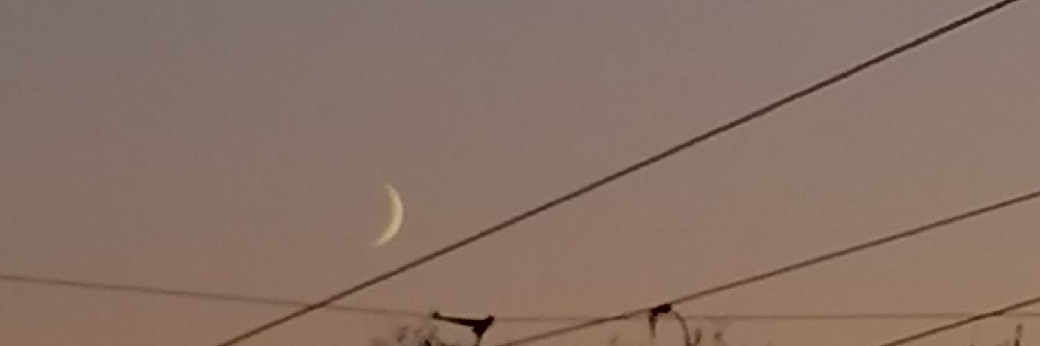 dinoozarl's profile banner image