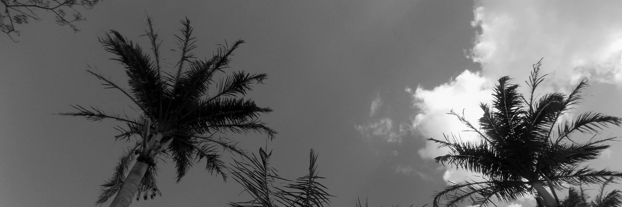 jtoloza83's profile banner image