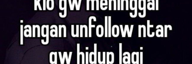 unhinged banner